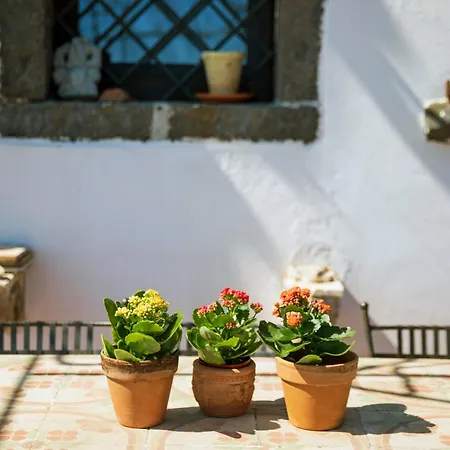 Etnalodge Пьедимонте-Этнео